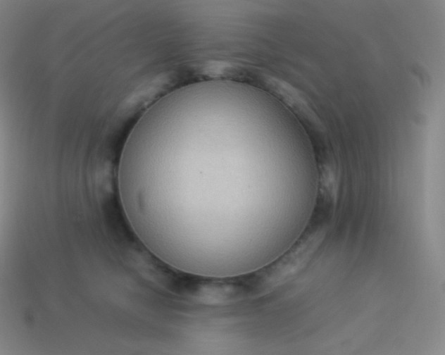 X0000113950470200910091612