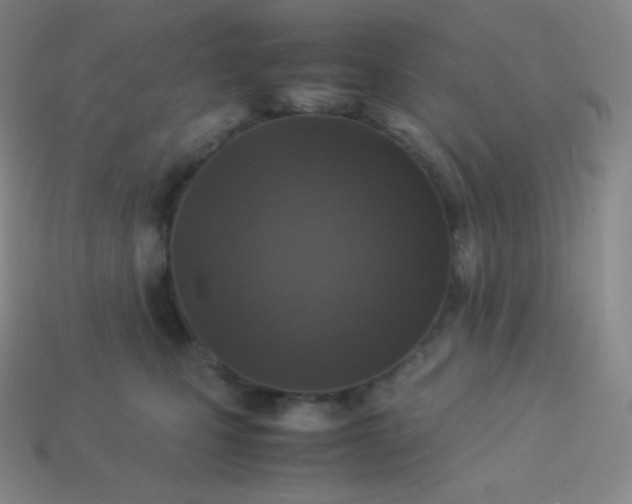X0000113950471200910091612