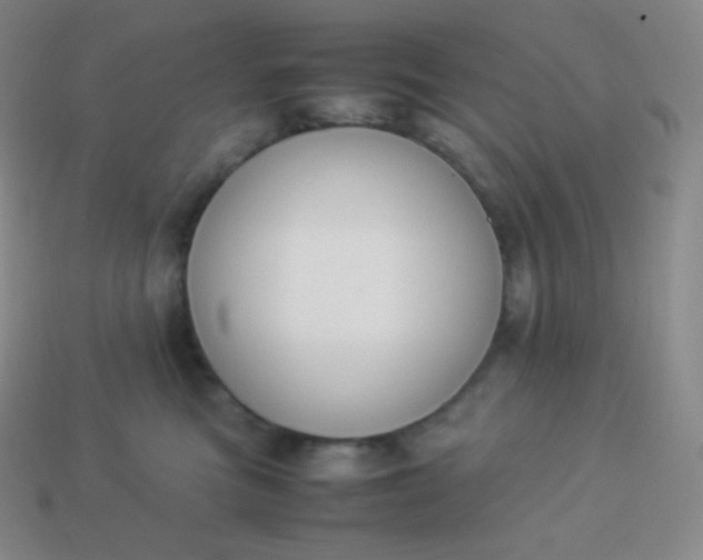 X0000113950473200910091612