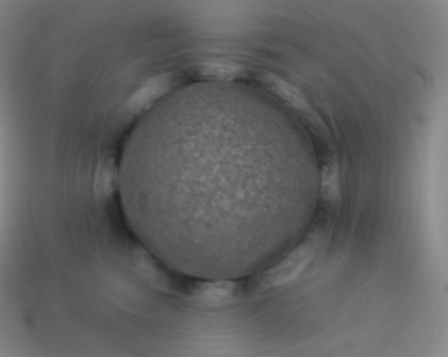 X0000113950474200910091612