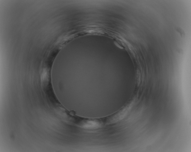 X0000113950475200910091612
