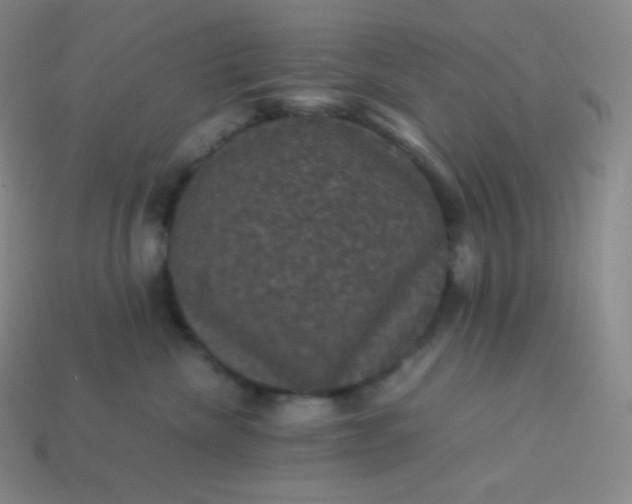 X0000113950476200910091612
