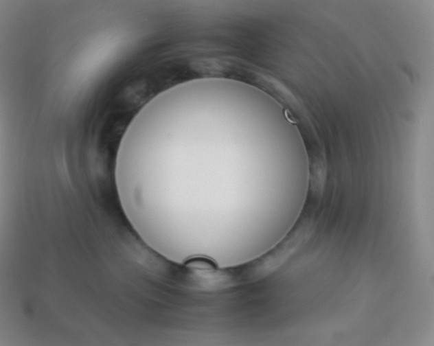 X0000113950477200910091612