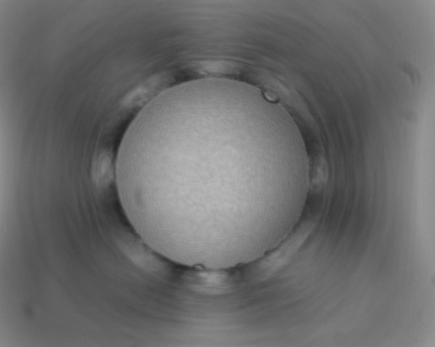 X0000113950478200910091612