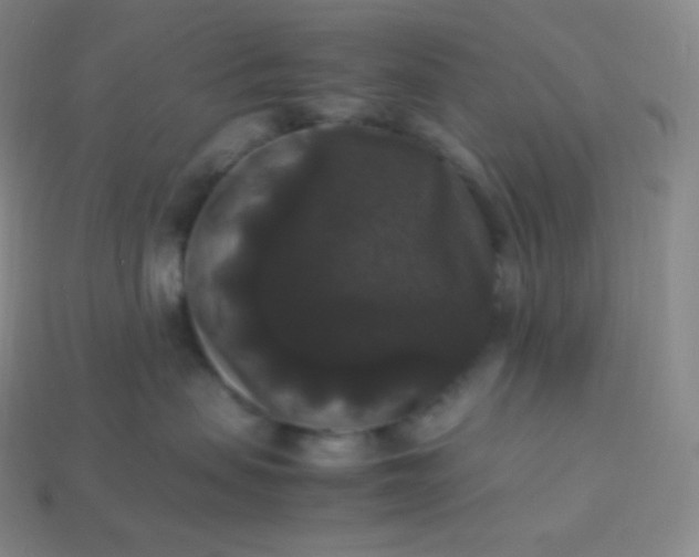 X0000113950479200910091612