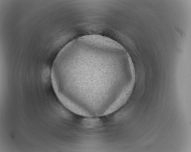 X0000113950480200910091612