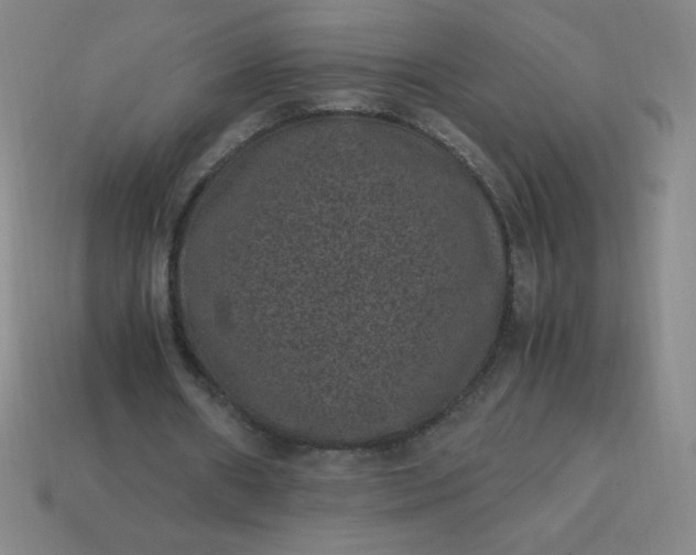 X0000113950482200910091612