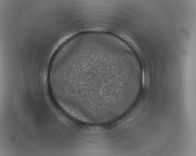 X0000113950483200910091612