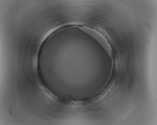 X0000113950484200910091612