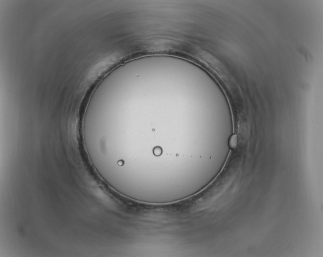 X0000113950485200910091612