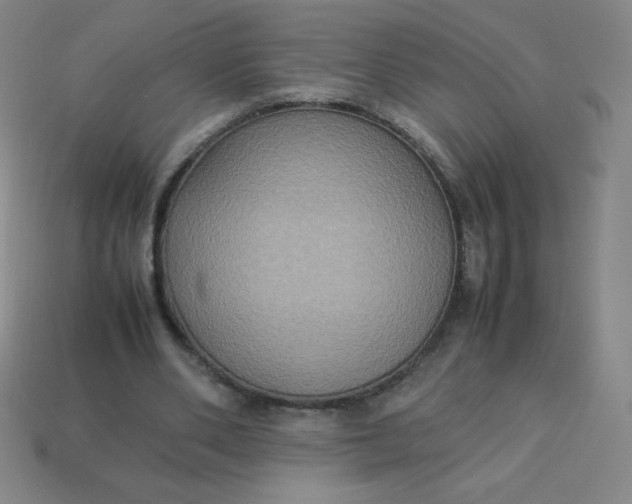 X0000113950486200910091612