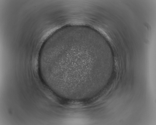 X0000113950487200910091612