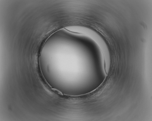 X0000113950489200910091612