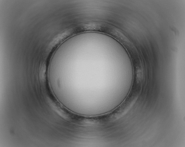 X0000113950490200910091612