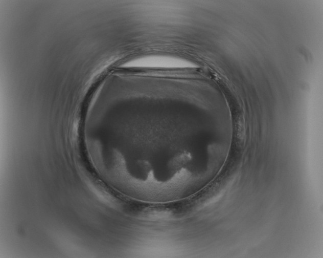 X0000113950491200910091612