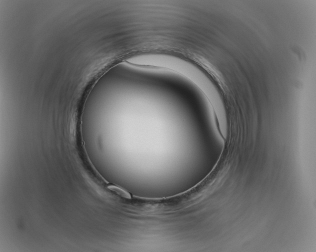 X0000113950493200910091612