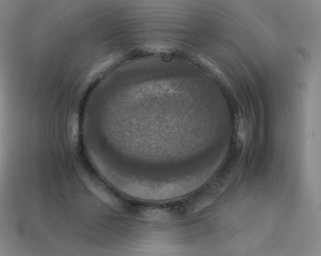 X0000113950494200910091612