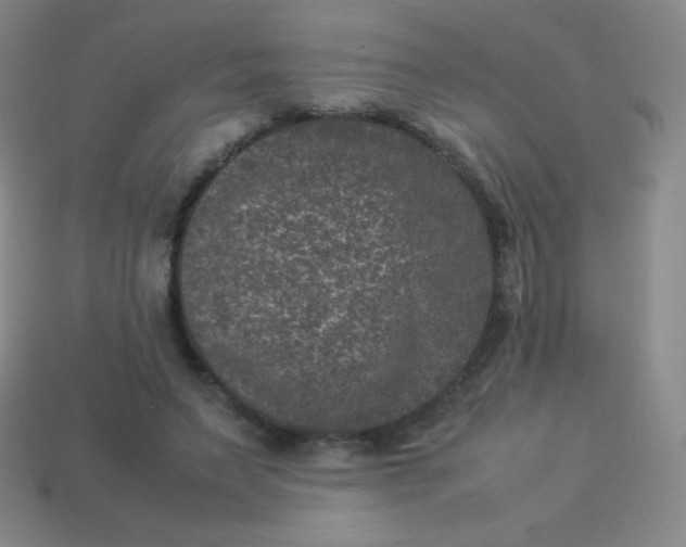X0000113950495200910091612