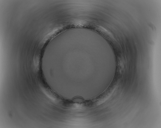X0000113950496200910091612