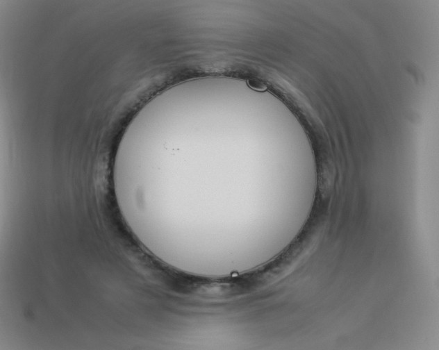 X0000113950497200910091612