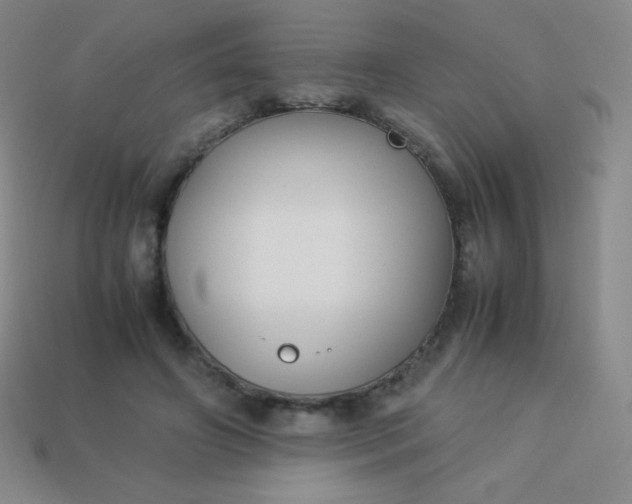 X0000113950498200910091612