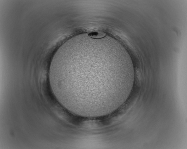 X0000113950499200910091612