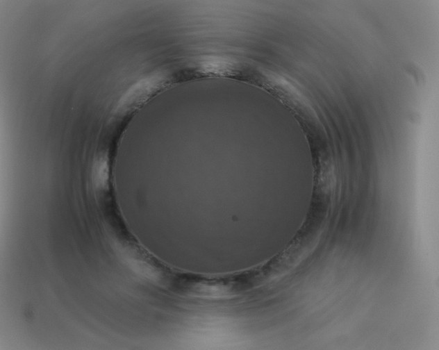 X0000113950502200910091612
