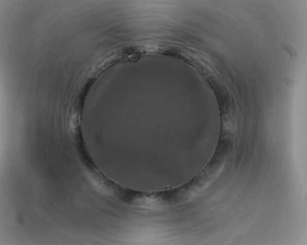 X0000113950503200910091612