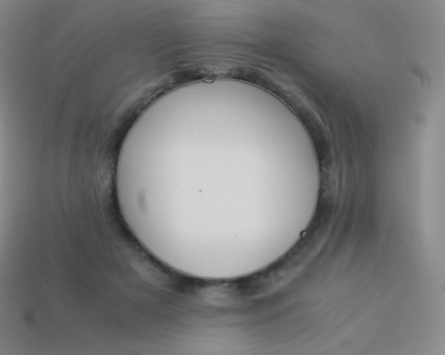 X0000113950505200910091612