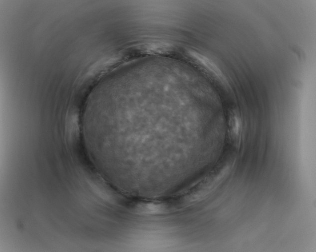 X0000113950506200910091612