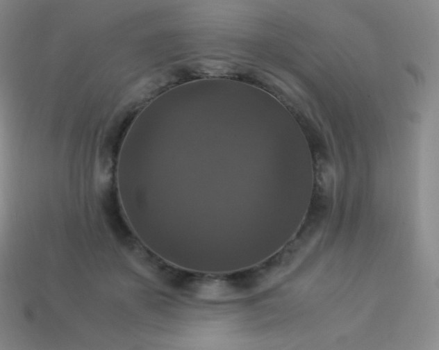 X0000113950507200910091611