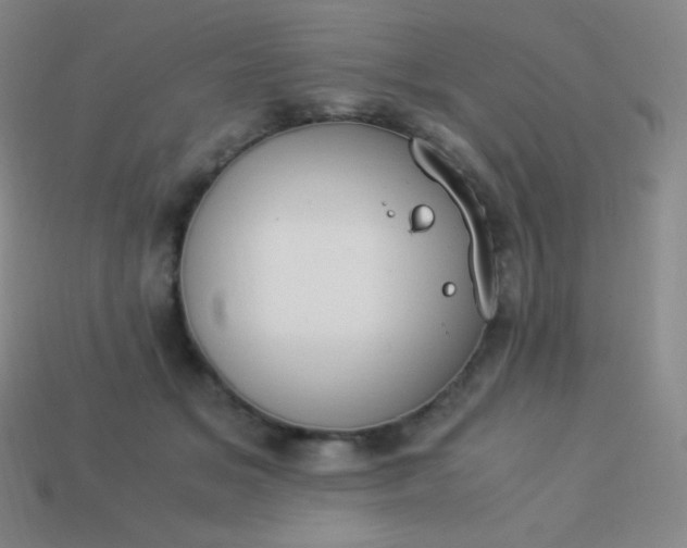 X0000113950509200910091611