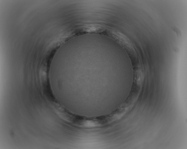 X0000113950510200910091611
