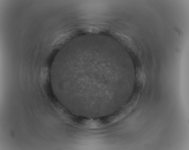 X0000113950511200910091611