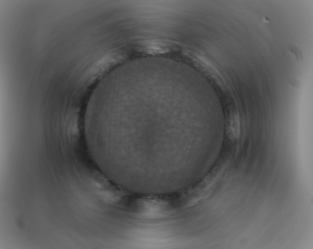 X0000113950512200910091611