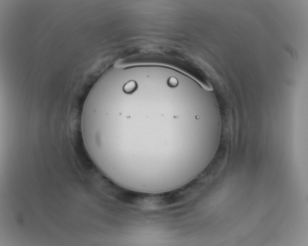 X0000113950513200910091611