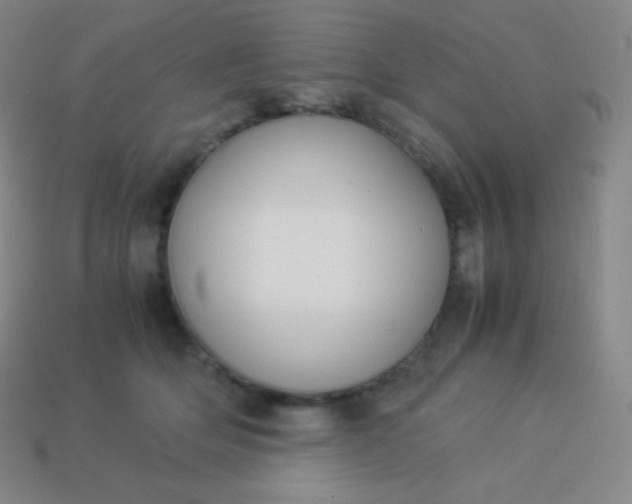 X0000113950514200910091611