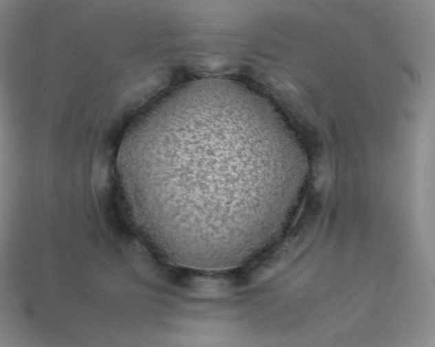 X0000113950515200910091611