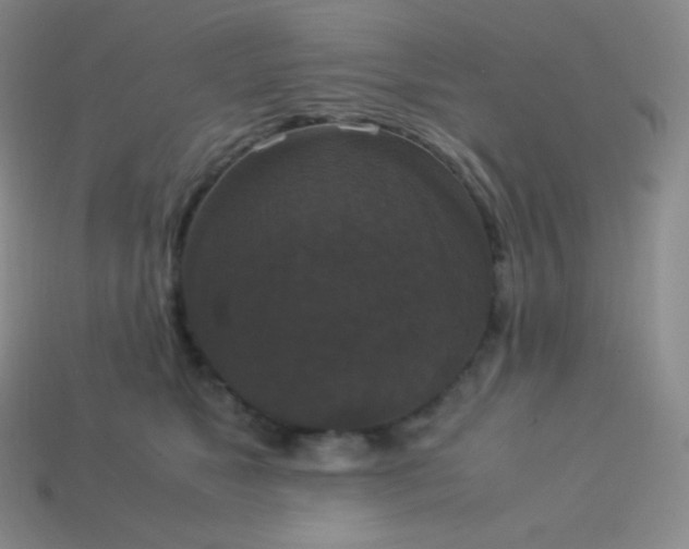 X0000113950517200910091611