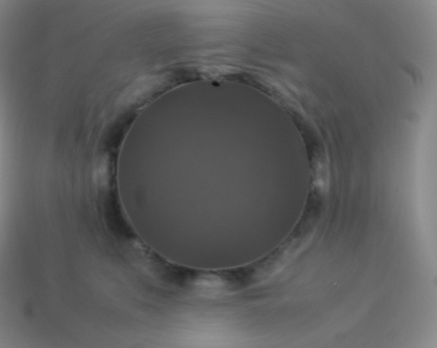 X0000113950519200910091611