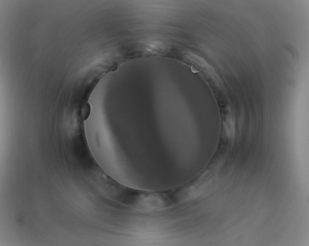 X0000113950520200910091611