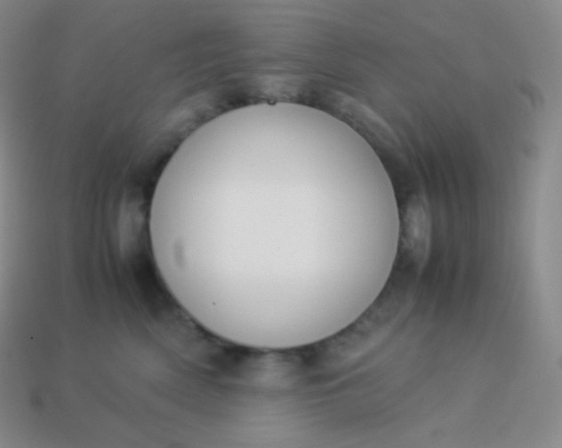 X0000113950522200910091611