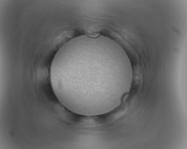 X0000113950523200910091611