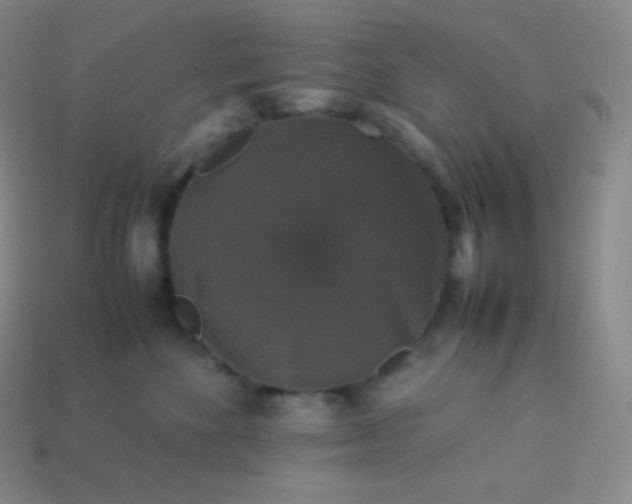 X0000113950524200910091611