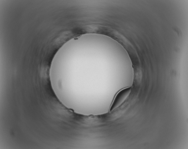 X0000113950525200910091611