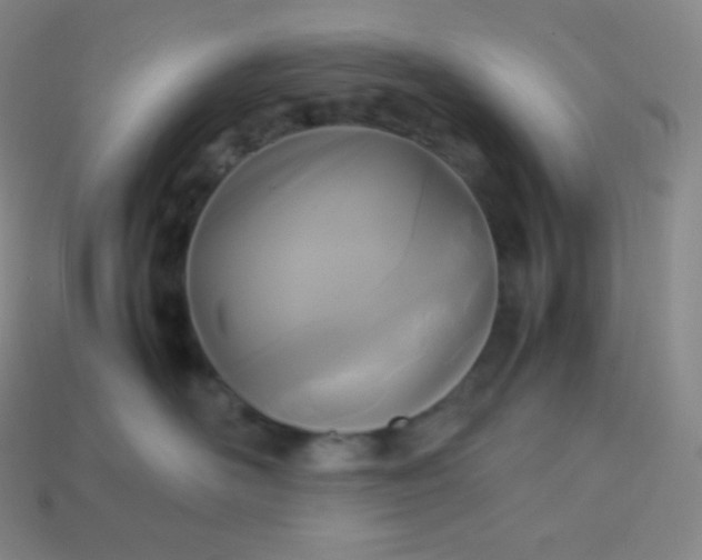 X0000113950526200910091611