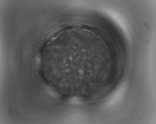 X0000113950527200910091611