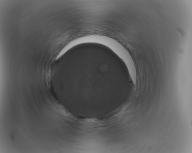 X0000113950528200910091611