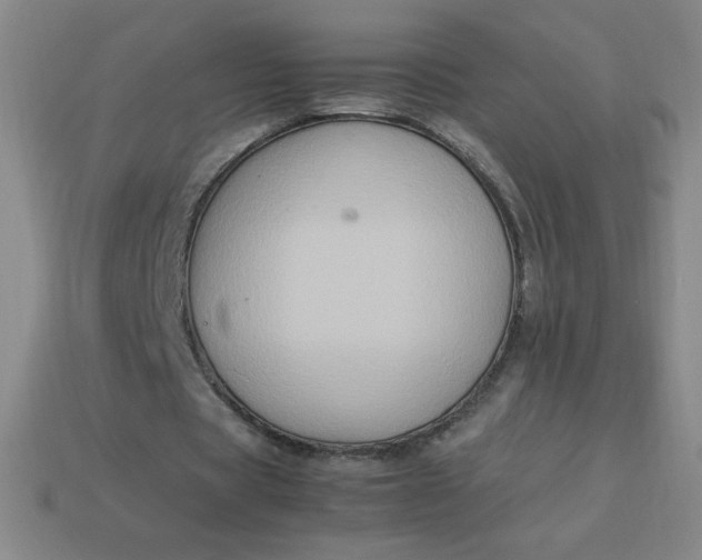X0000113950529200910091611