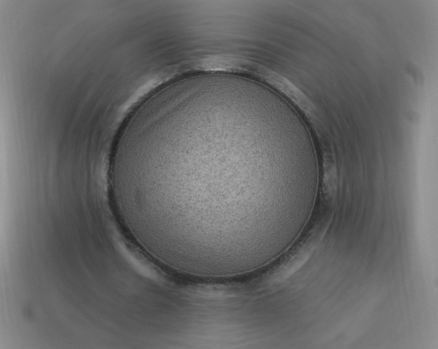 X0000113950530200910091611